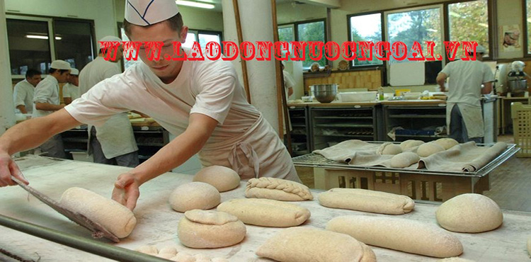 Xkld Rumani – Tuyển 20 Nam, Nữ làm bánh mỳ