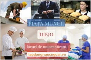 xuất khẩu lao động rumani