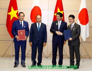 kỹ năng đặc định