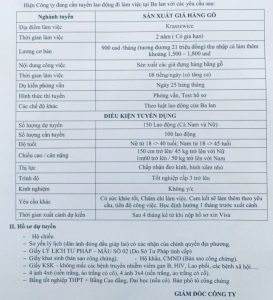 đơn Hàng Xklđ Ba Lan 739x1024