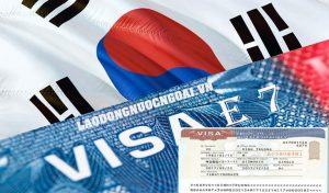 visa e7 hàn quốc
