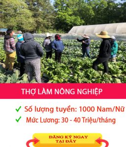 đơn hàng nông nghiệp hy lạp