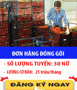 Don Hang Dong Goi Ca Chua 2