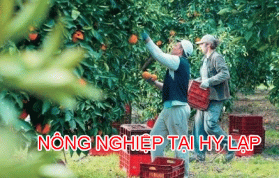 Nong Nghiep Hai Cam Tai Hy Lap