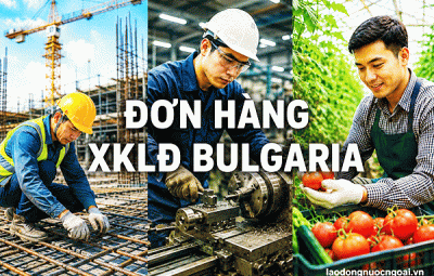 Dom Hang Xkld Bulgaria