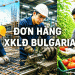 Dom Hang Xkld Bulgaria