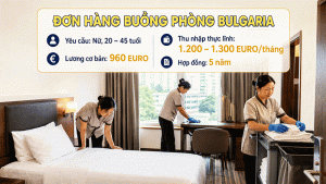 Don Hang Don Dep Buong Phong Bulgaria