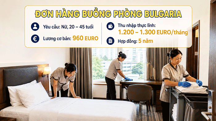 Don Hang Don Dep Buong Phong Bulgaria