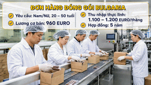 Don Hang Dong Goi Bulgaria