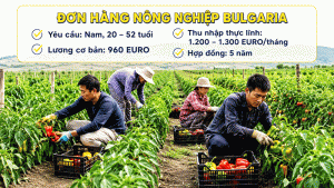 Don Hang Nong Nguiep Bulgaria