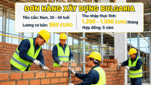 Don Hang Xay Dung Bulgaria