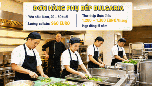 Don Hng Phu Bep Bulgaria